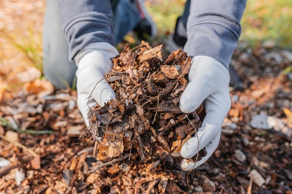 Shredded Mulch Installation Service