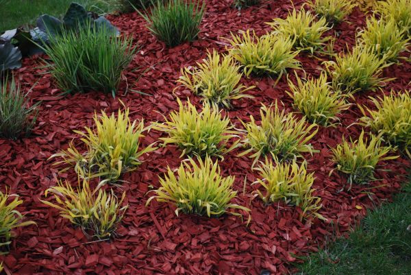 Red Mulch Installation Service