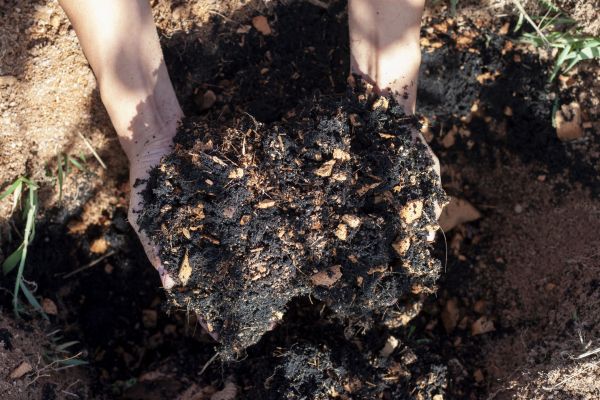 Organic Mulch Installation Service