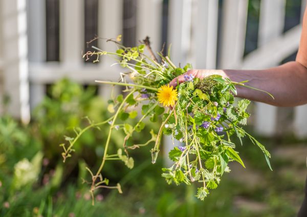 Seasonal Garden Cleanup