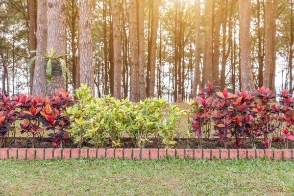 Small Garden Landscaping Service