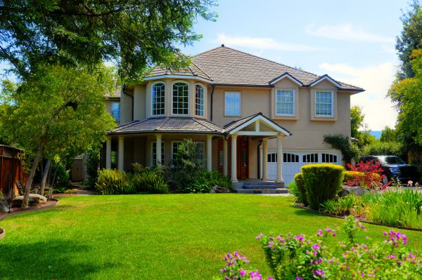 Large Yard Landscaping Service