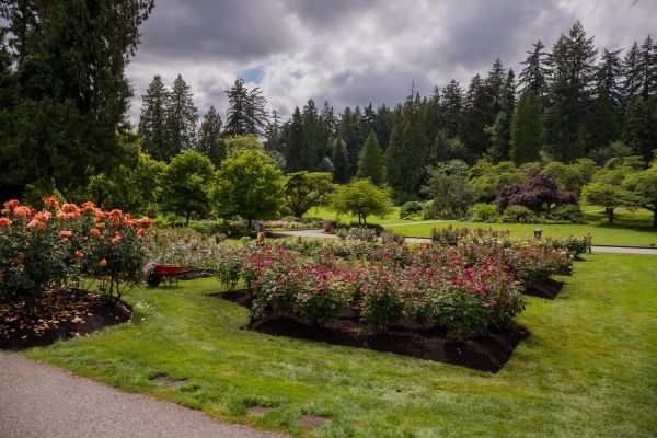 Flower Garden Landscaping Service