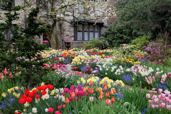 Front Garden Design