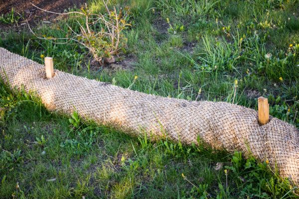 Wattle Installation Service
