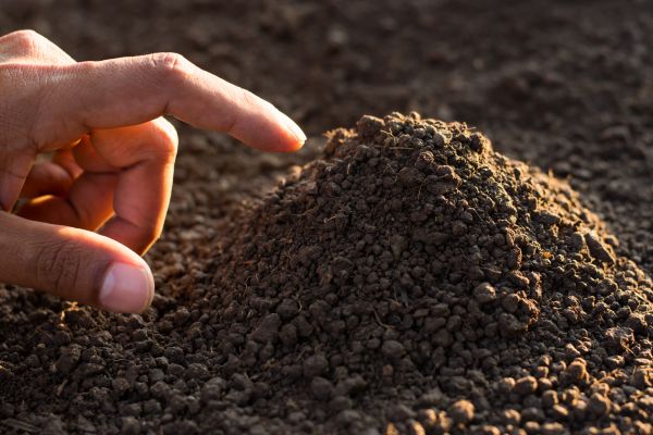 Loamy Soil Delivery
