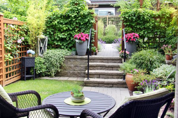 Townhouse Gardening