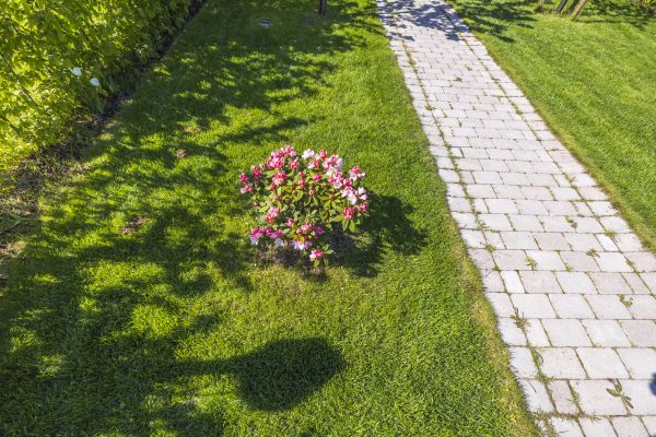 Townhouse Yard Improvement