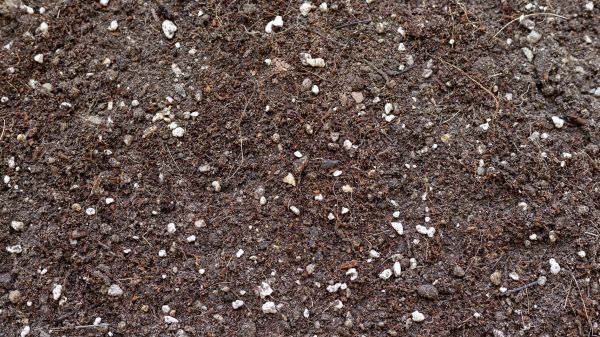 Soil Mix Delivery