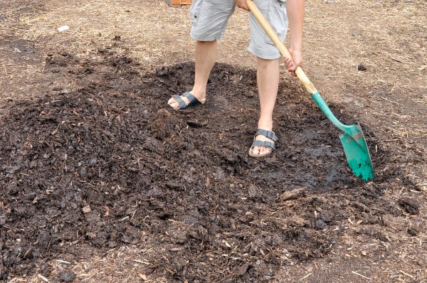 Cedar Mulch Laying
