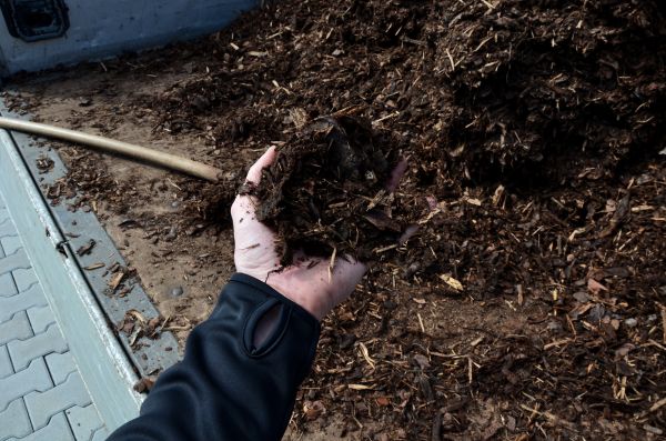 Condo Mulching Service