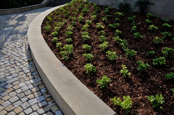 Commercial Mulching in Bellevue