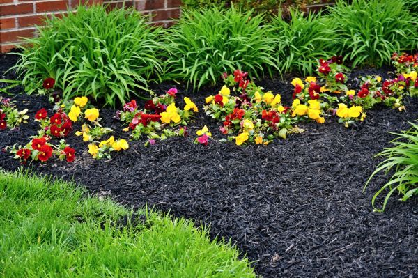 Apartment Mulching Service