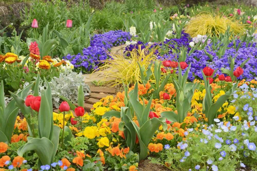 Garden Design