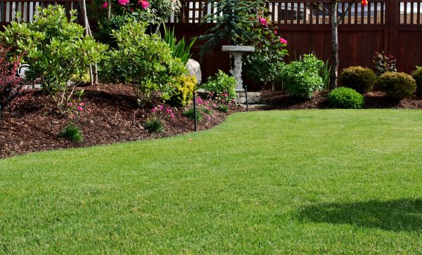 Landscape Maintenance